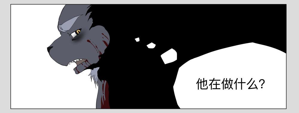 013猫和他的猫part5-第13话
