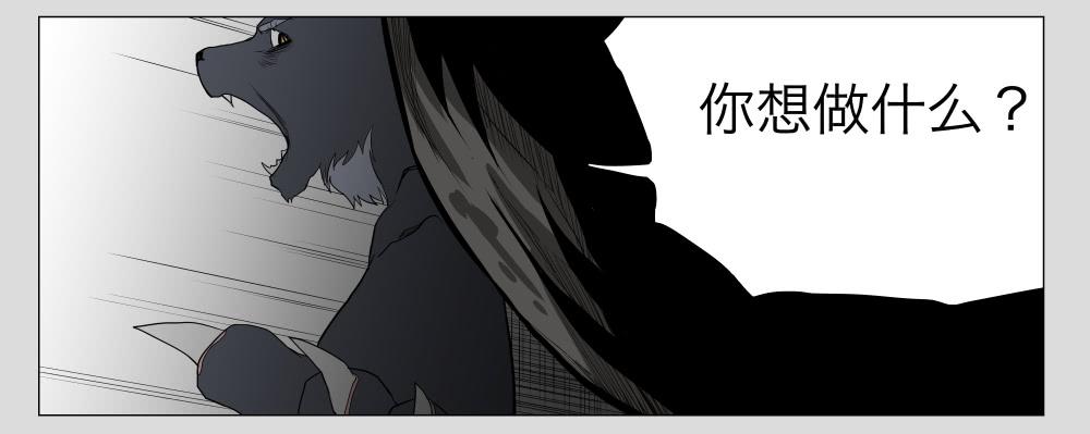 013猫和他的猫part5-第13话