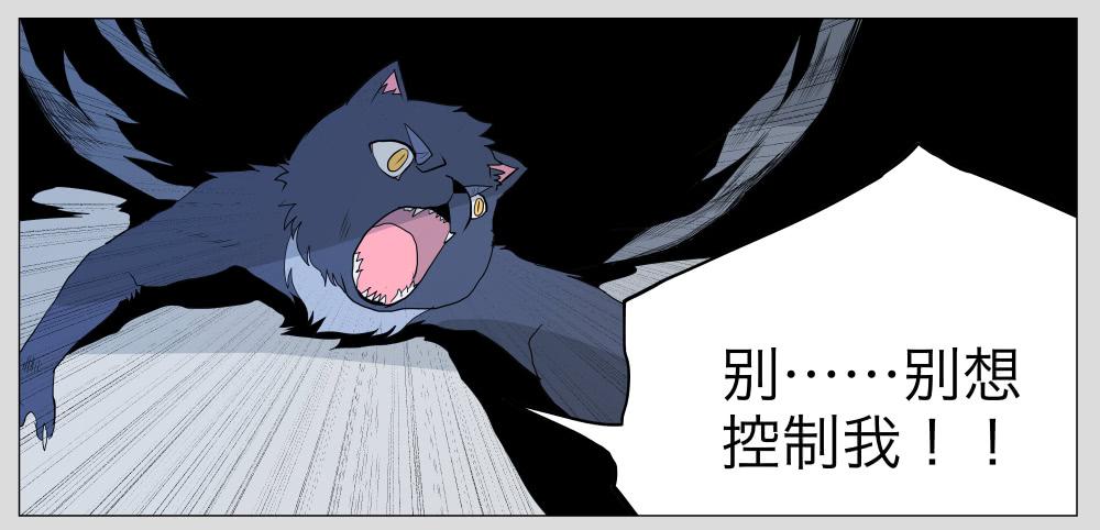 013猫和他的猫part5-第13话