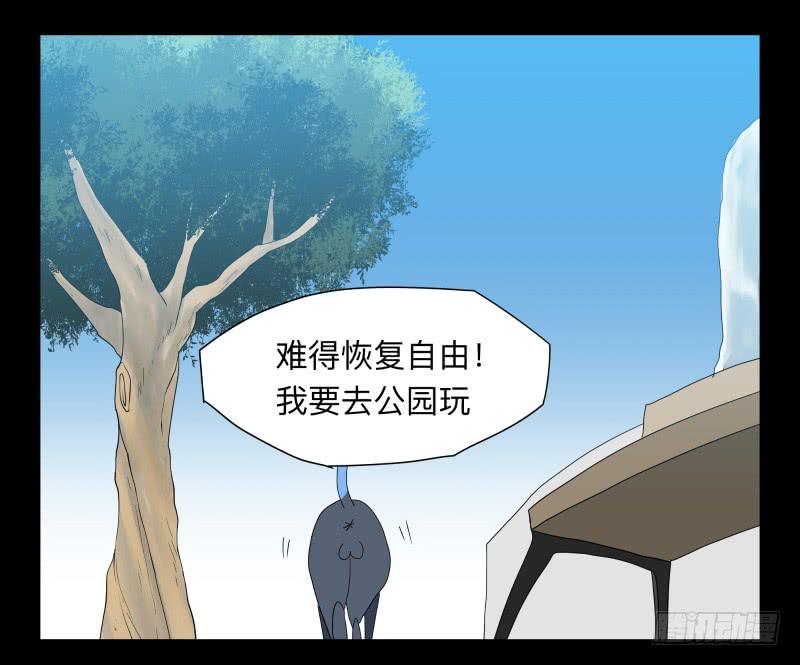 051-猫左犬右part1-第51话
