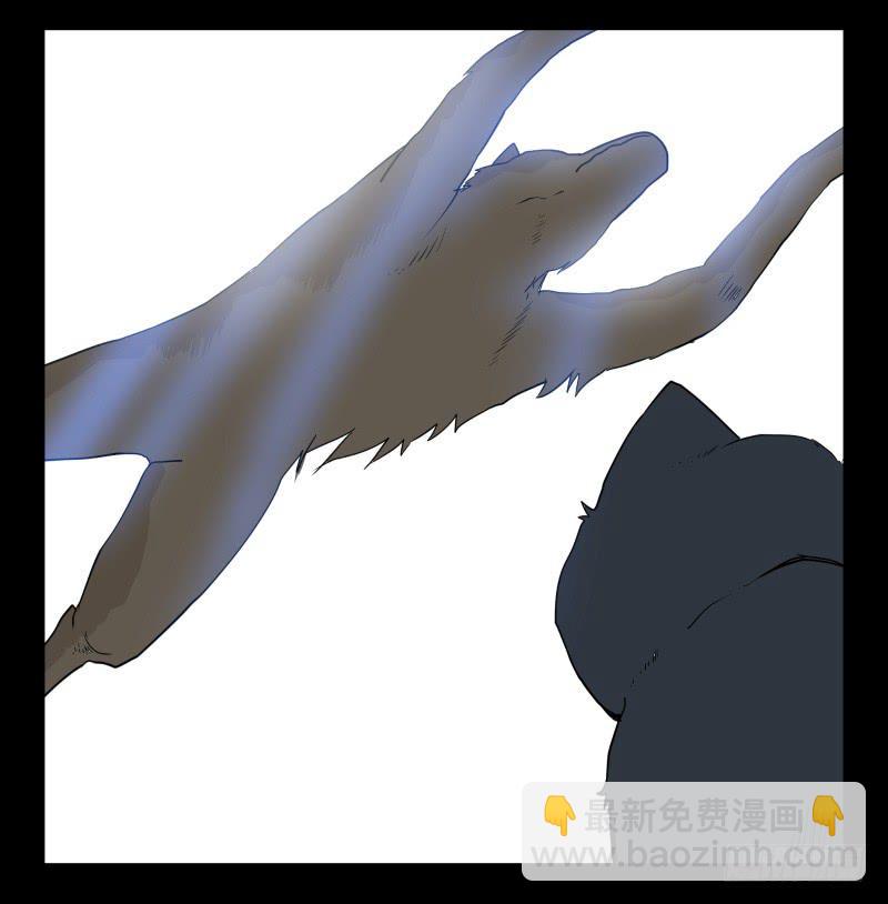 051-猫左犬右part1-第51话
