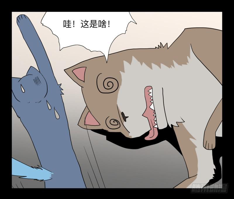 051-猫左犬右part1-第51话