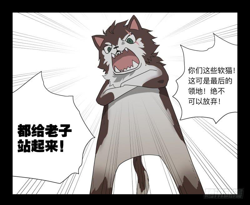 051-猫左犬右part1-第51话