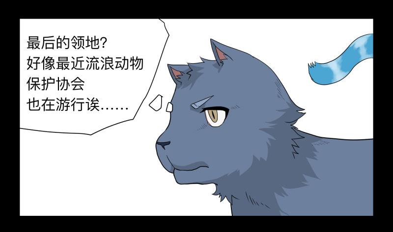 051-猫左犬右part1-第51话
