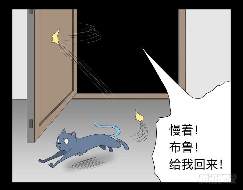 051-猫左犬右part1-第51话