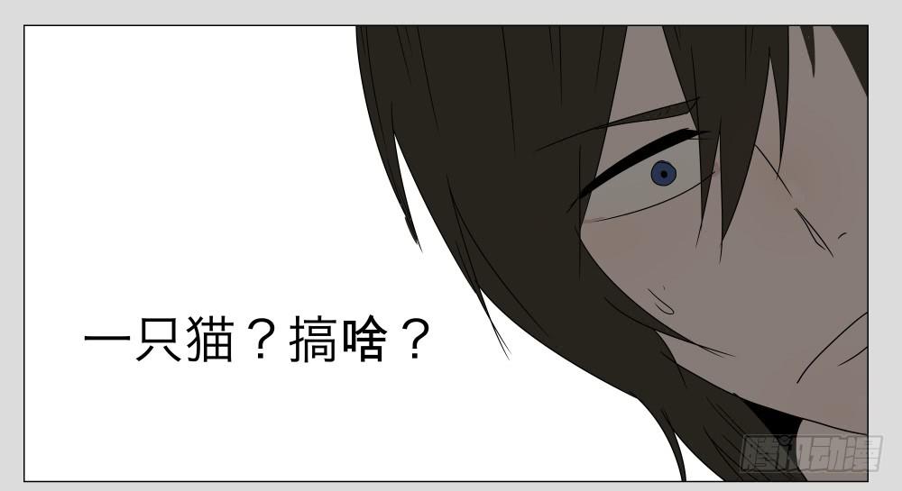 009猫和他的猫part1-第9话