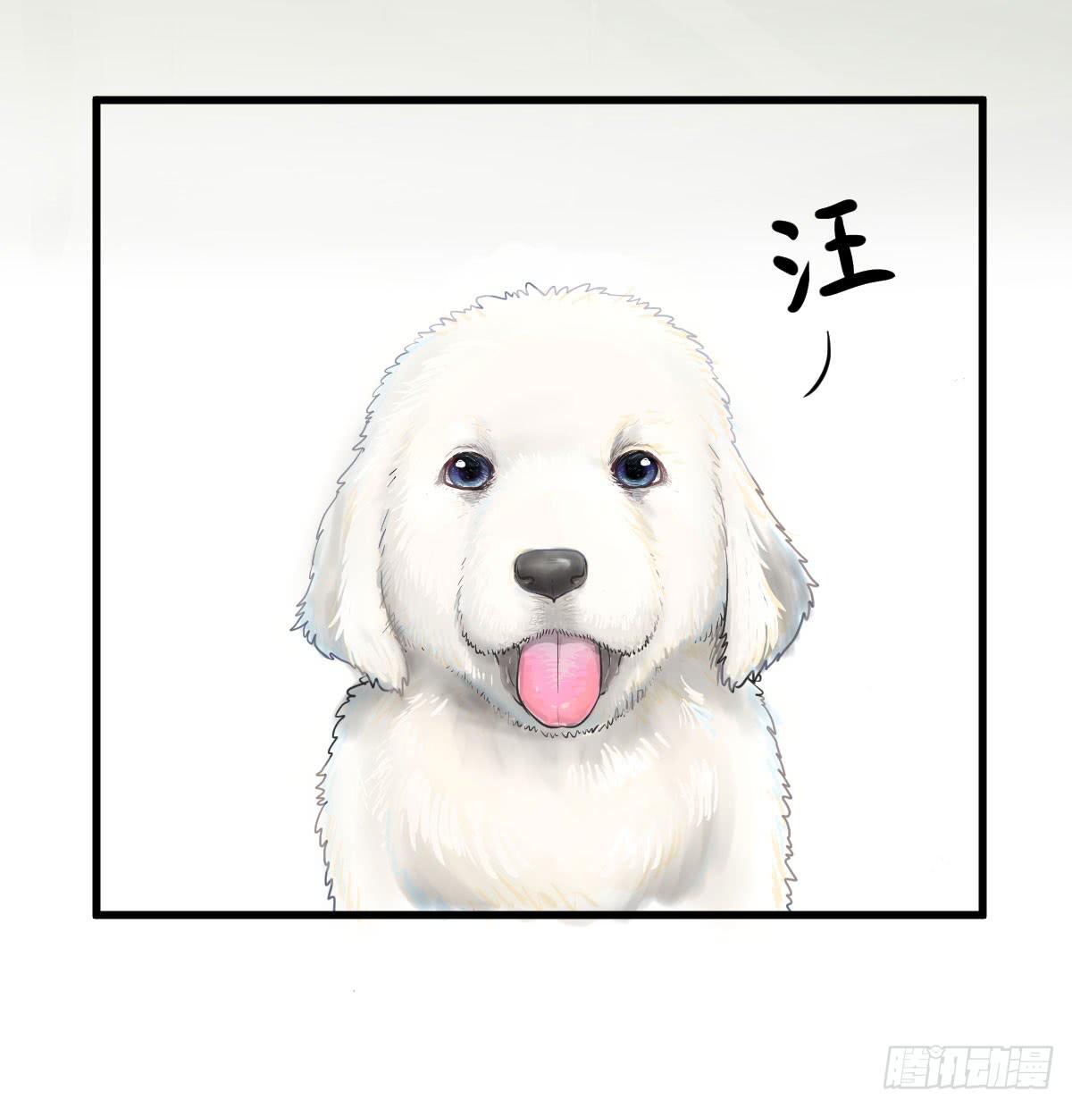 我观你诅咒加身呀！炸天-第19话