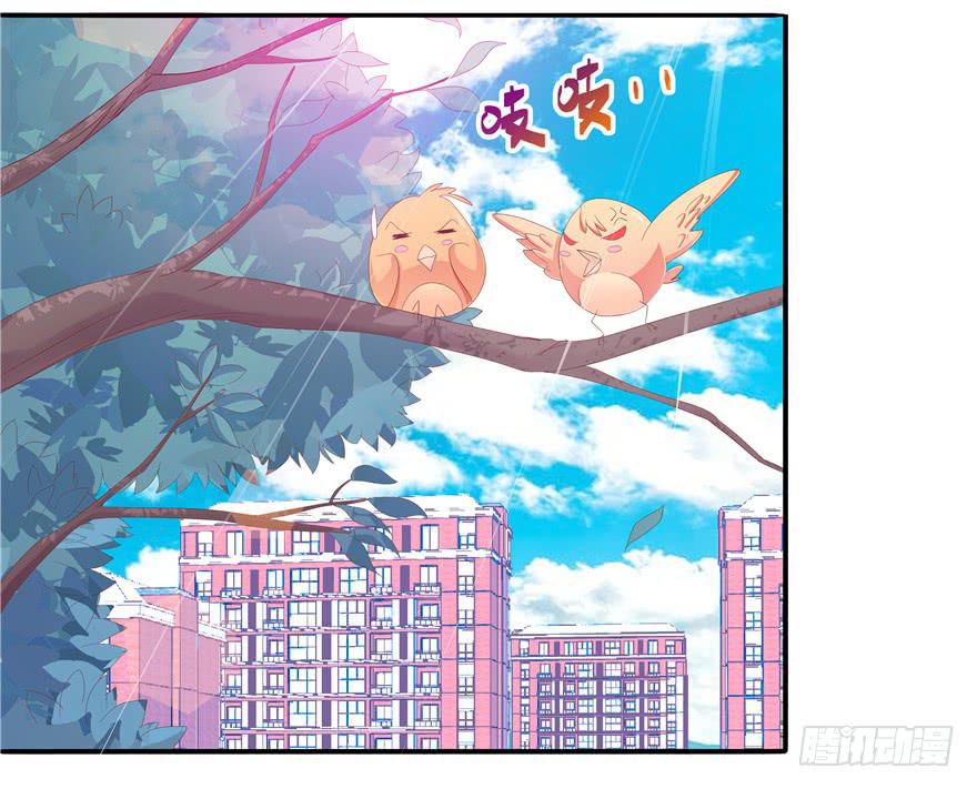 十二回 蠢人的活法!-第13话