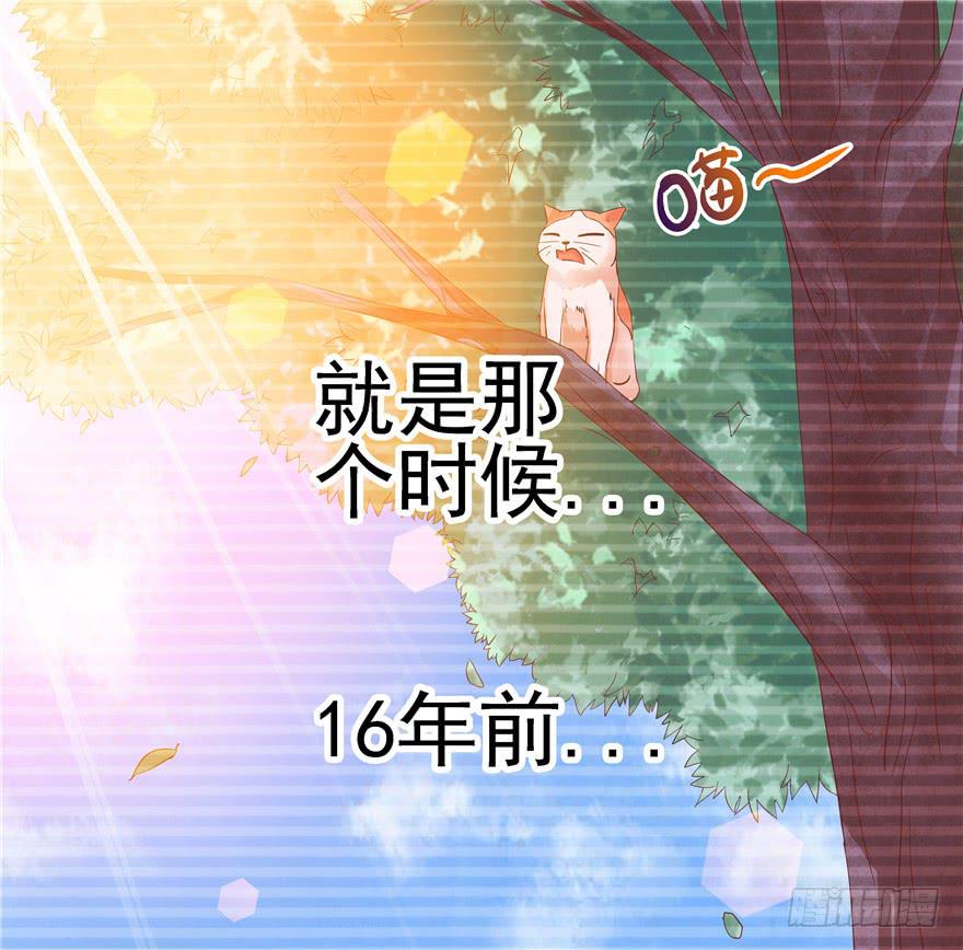 十四回 独家记忆！-第15话