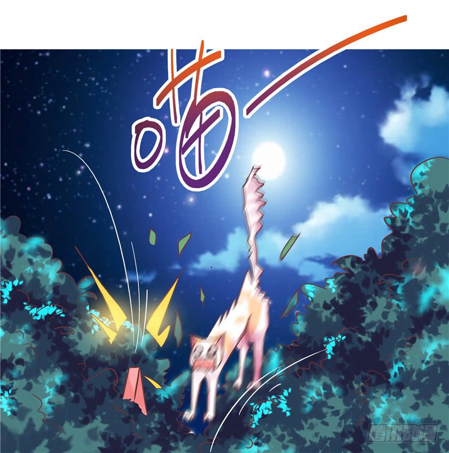 二十八 未来的方向需要认真思考-第31话