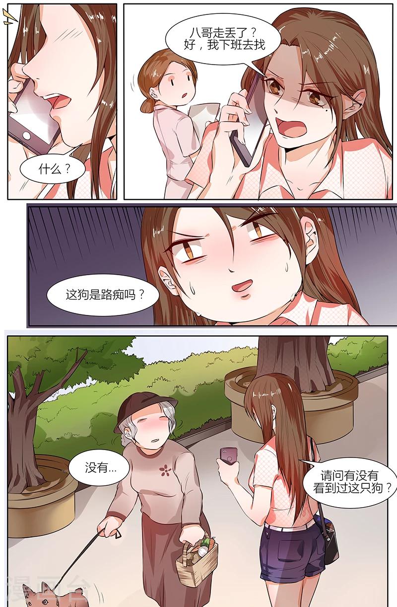 🍤热辣新妻 第101话 第1页