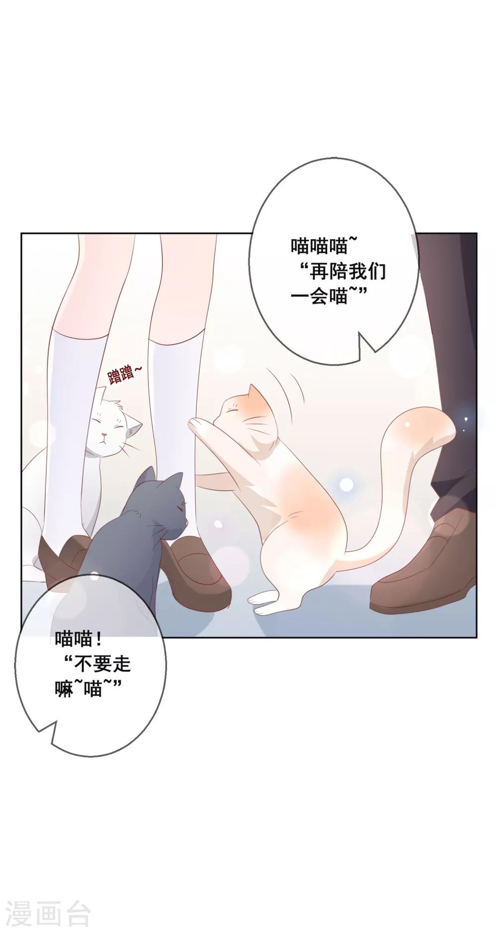 第133话 想要变成猫-第139话