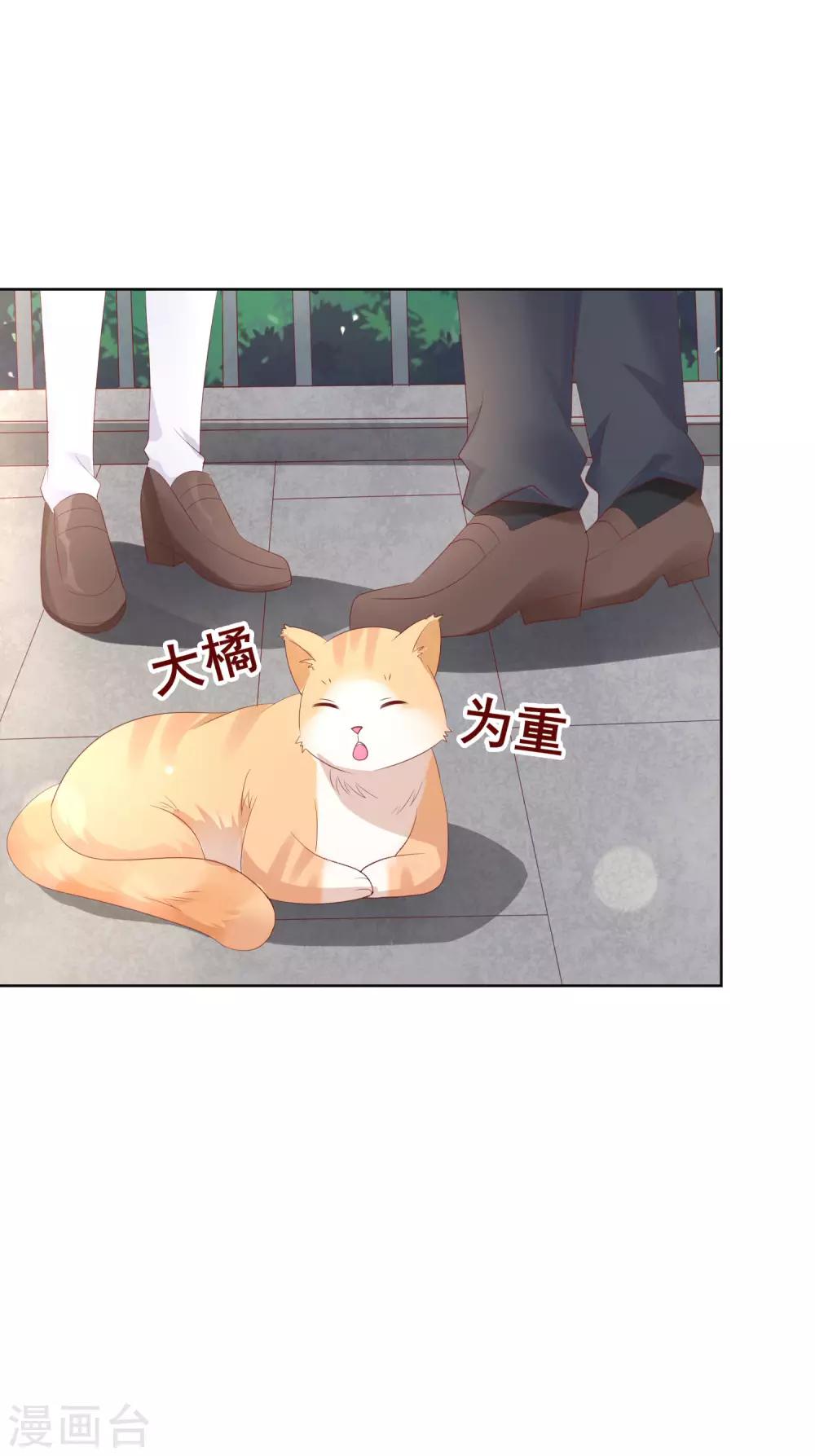 第133话 想要变成猫-第139话