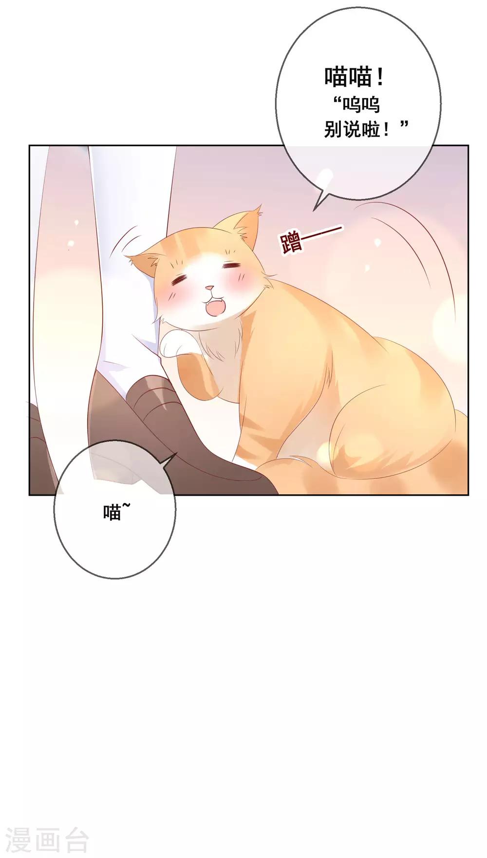 第133话 想要变成猫-第139话
