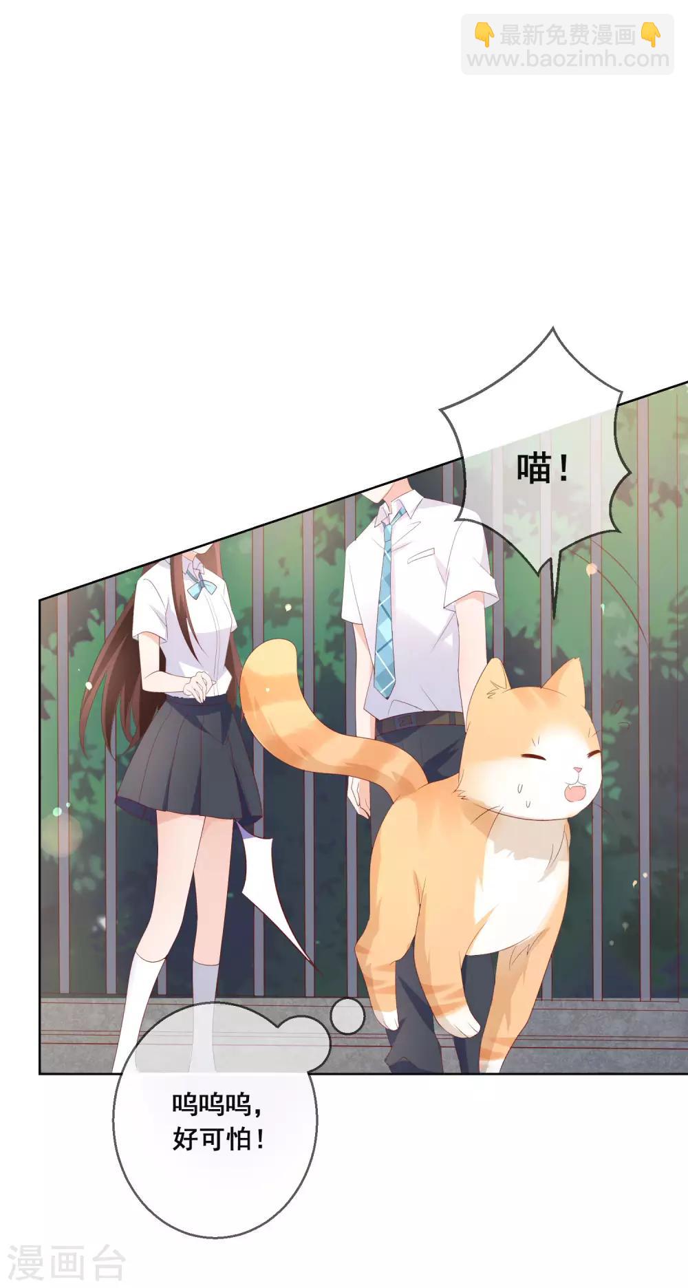 第133话 想要变成猫-第139话