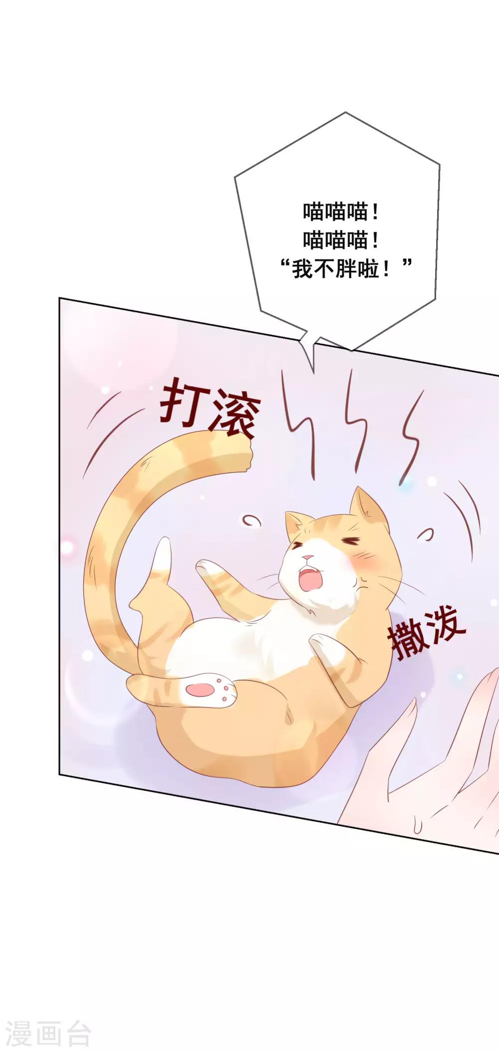 第133话 想要变成猫-第139话