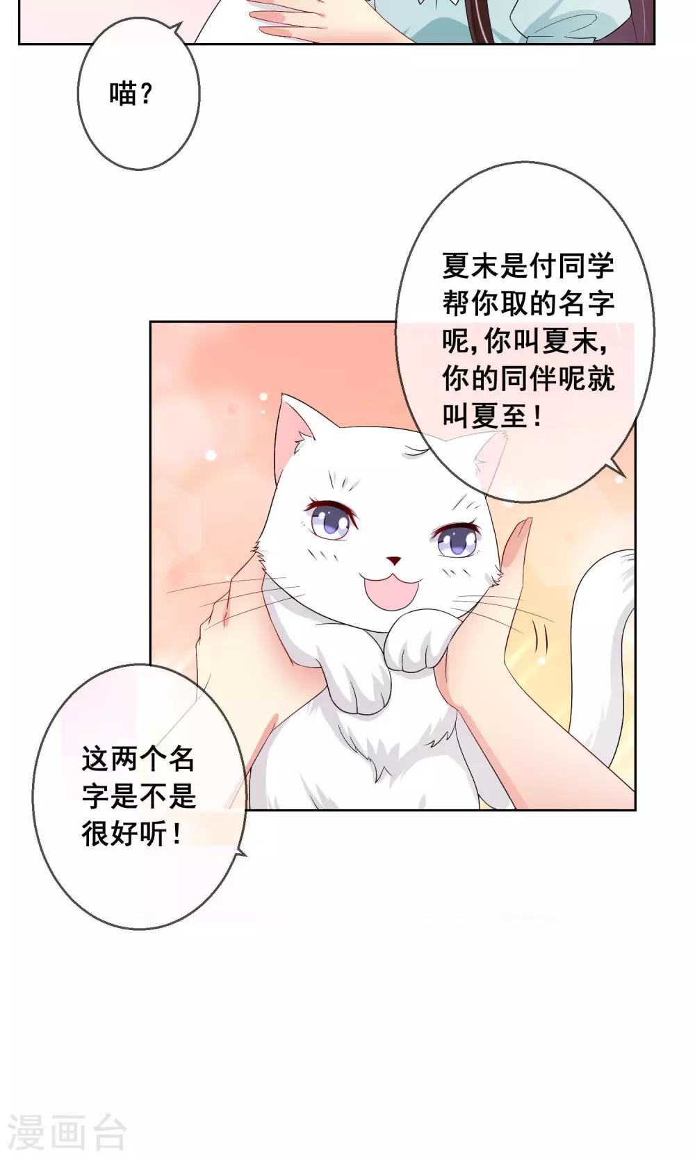 第20话 付暖酒的秘密-第21话
