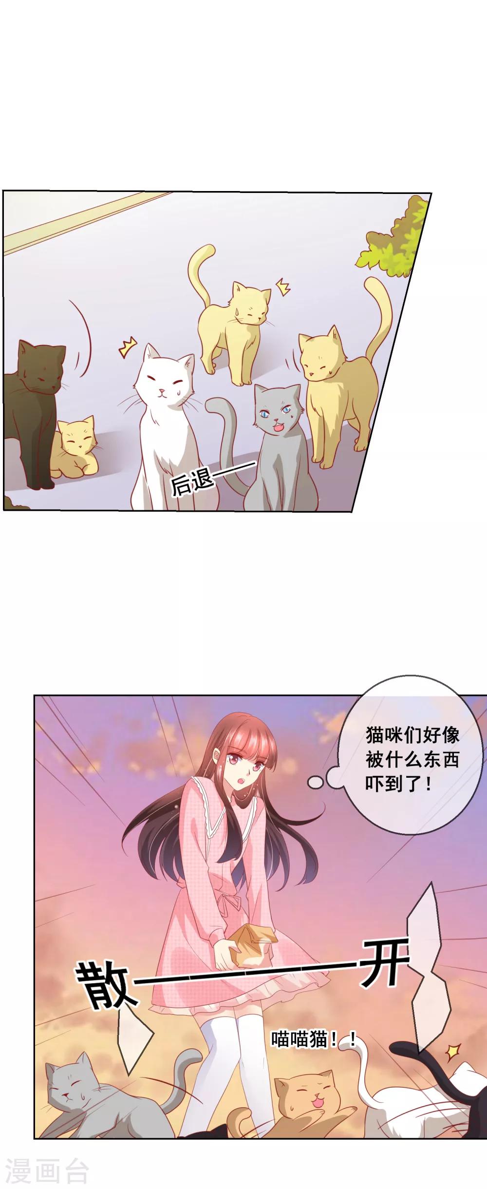 第46话 喵咪的身份暴露了！-第49话