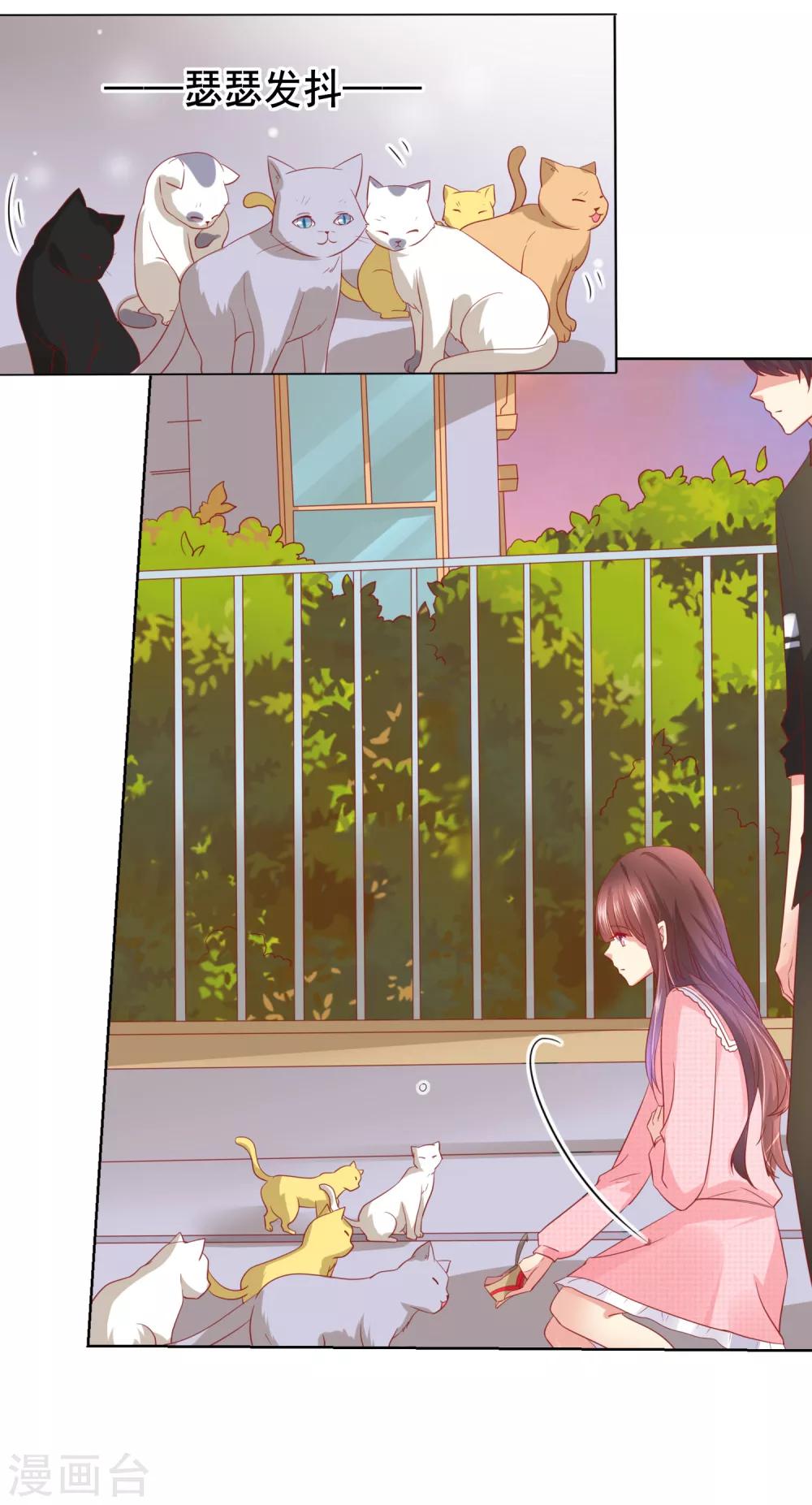 第46话 喵咪的身份暴露了！-第49话