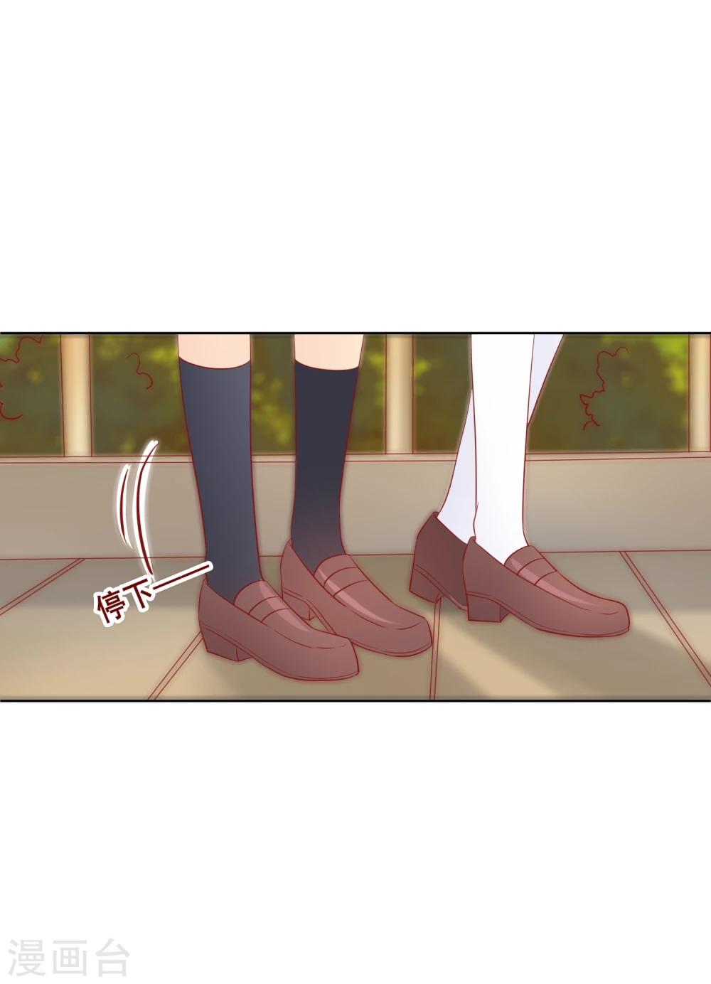 第65话 参加猫咪选美大赛？！-第69话