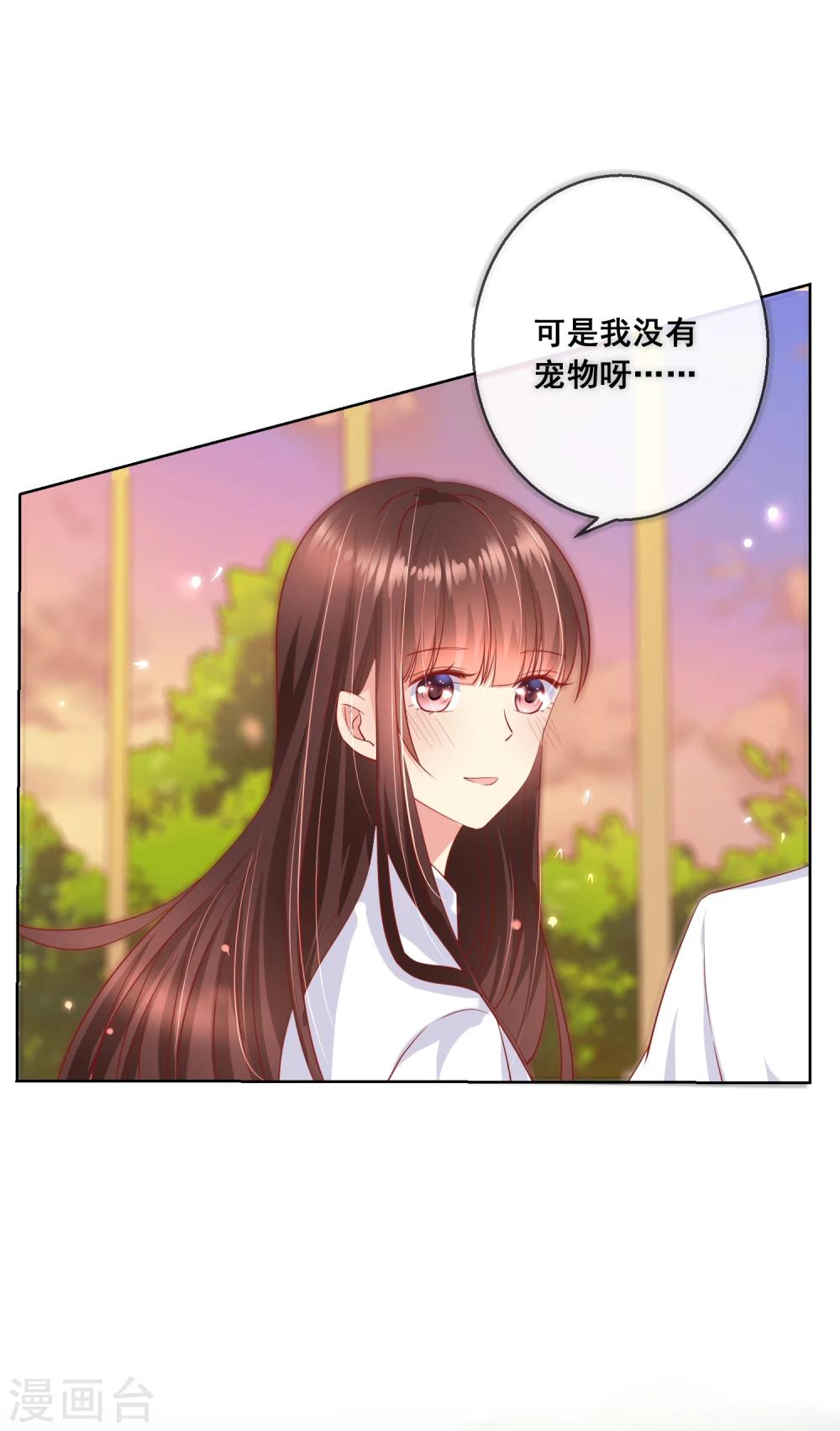 第65话 参加猫咪选美大赛？！-第69话