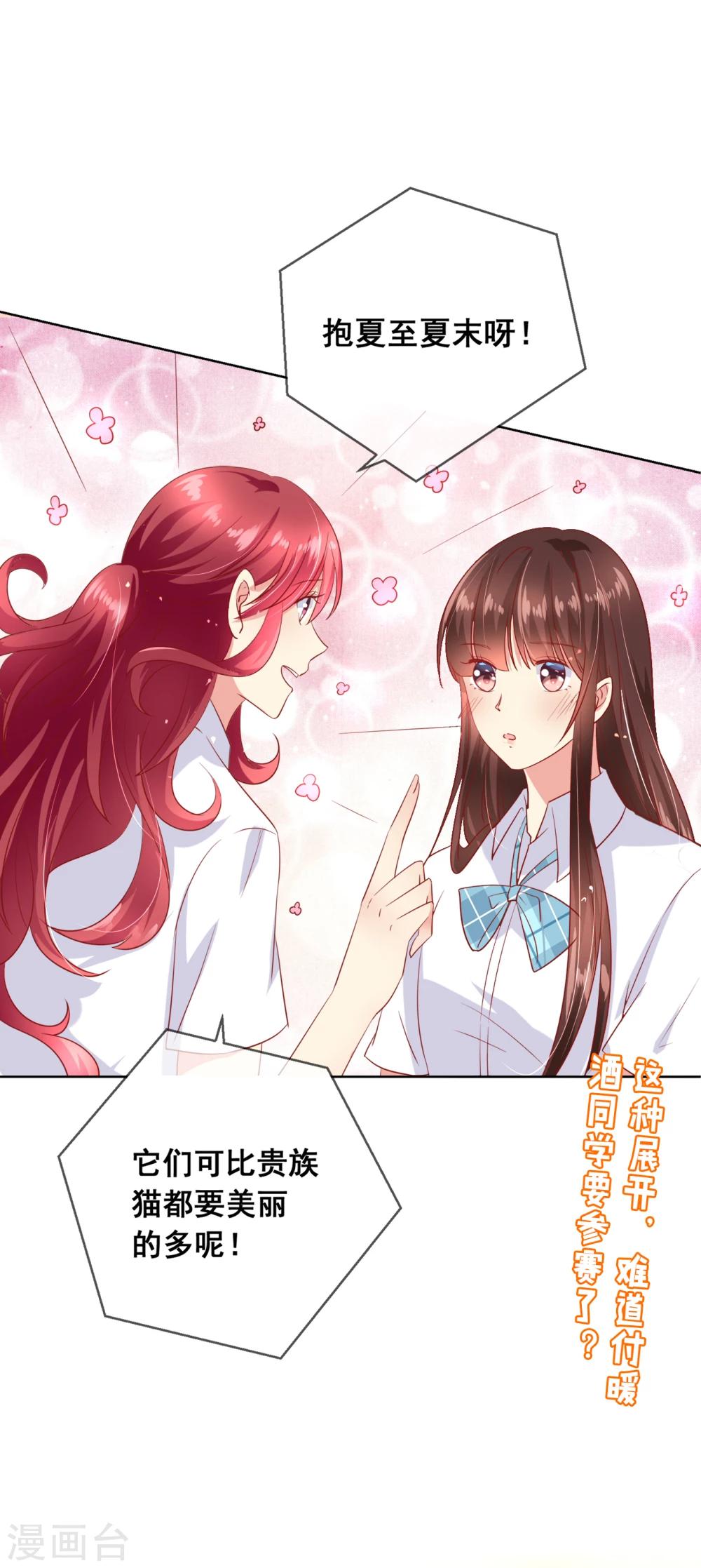第65话 参加猫咪选美大赛？！-第69话