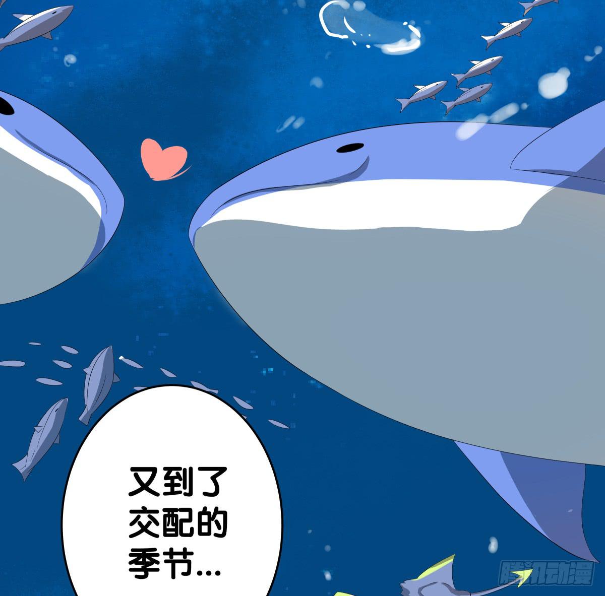 回到你身边(1/2)-第43话