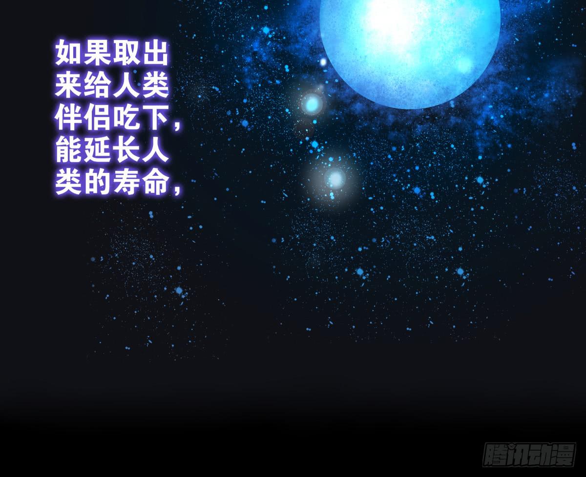 鱼珠之谜(1/2)-第9话