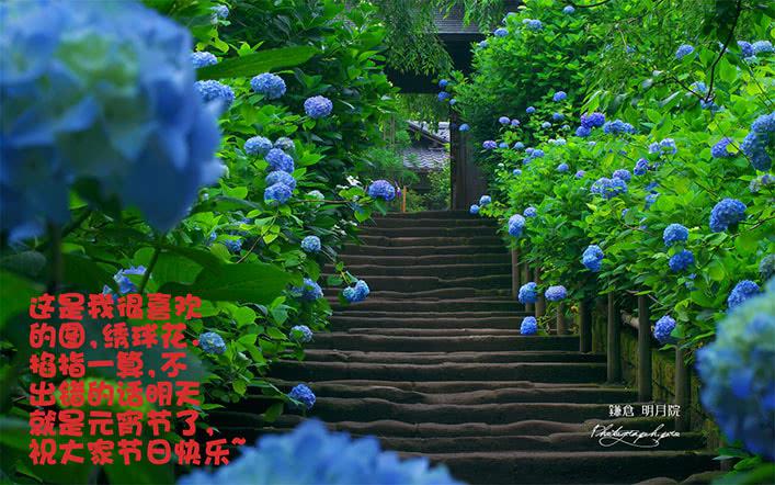 第八十六话 阴阳惑心阵-第87话