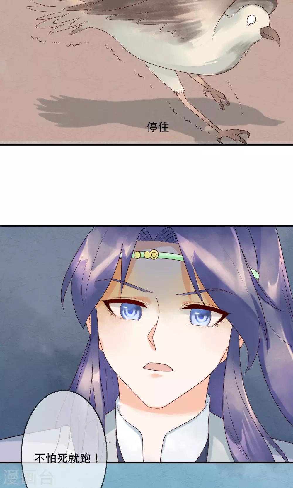 第14话 一点也不怜香惜玉-第15话