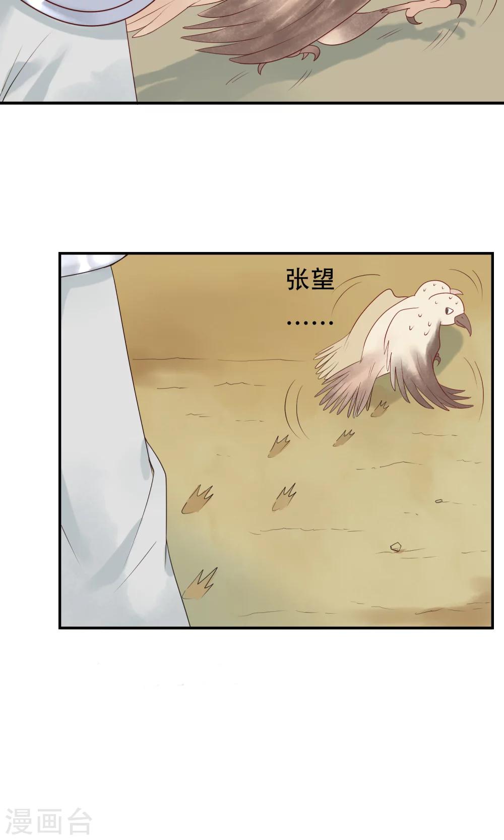 第14话 一点也不怜香惜玉-第15话