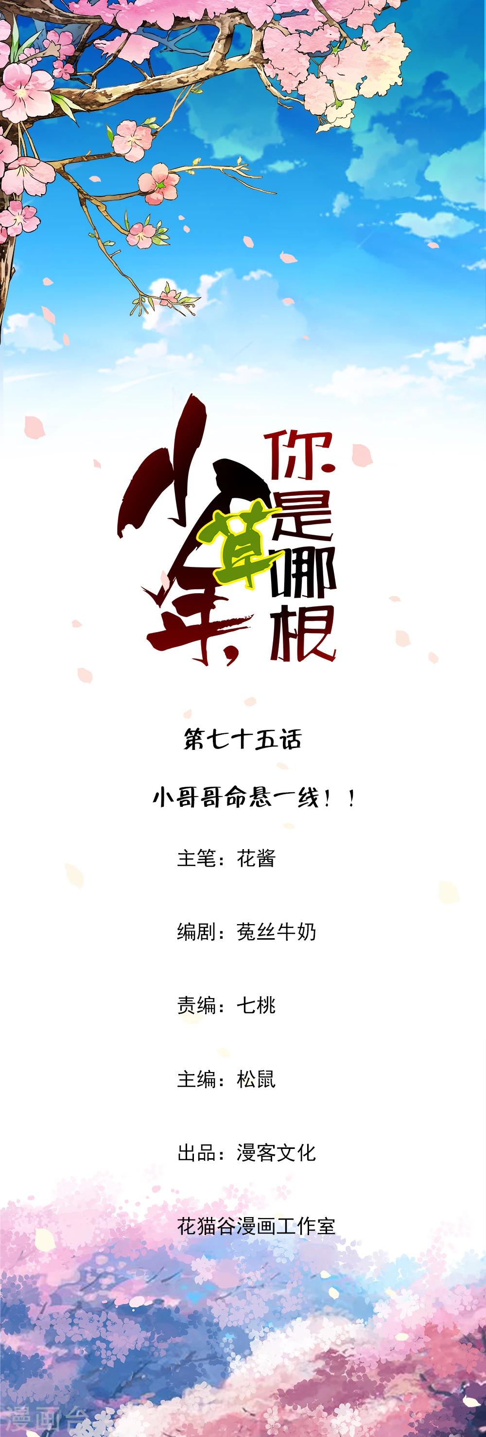 第75话 小哥哥命悬一线！-第77话