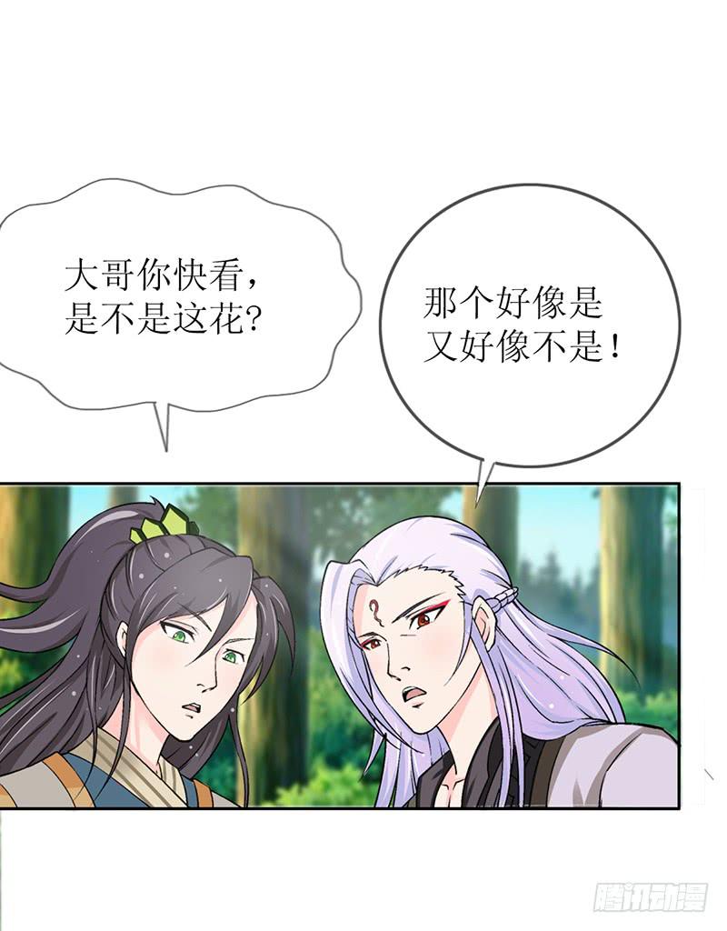 传说中的白岩草出现啦！-第57话