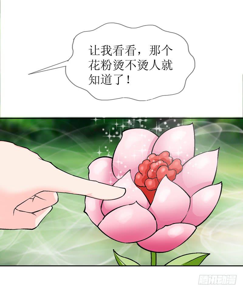 传说中的白岩草出现啦！-第57话