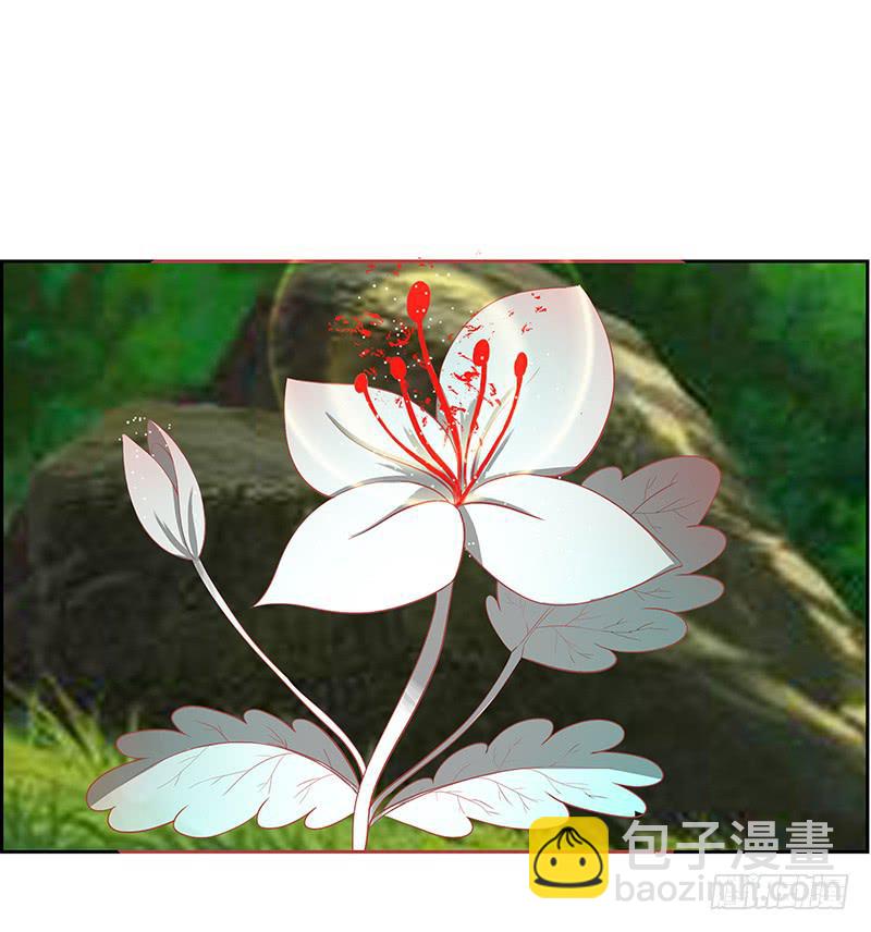 传说中的白岩草出现啦！-第57话