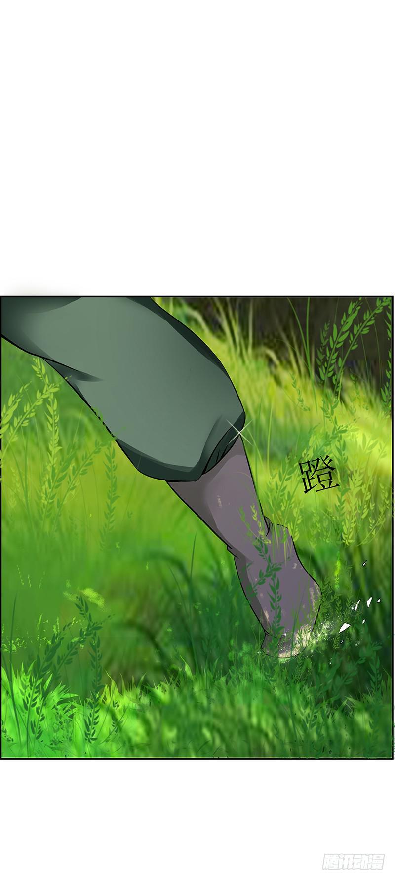 传说中的白岩草出现啦！-第57话