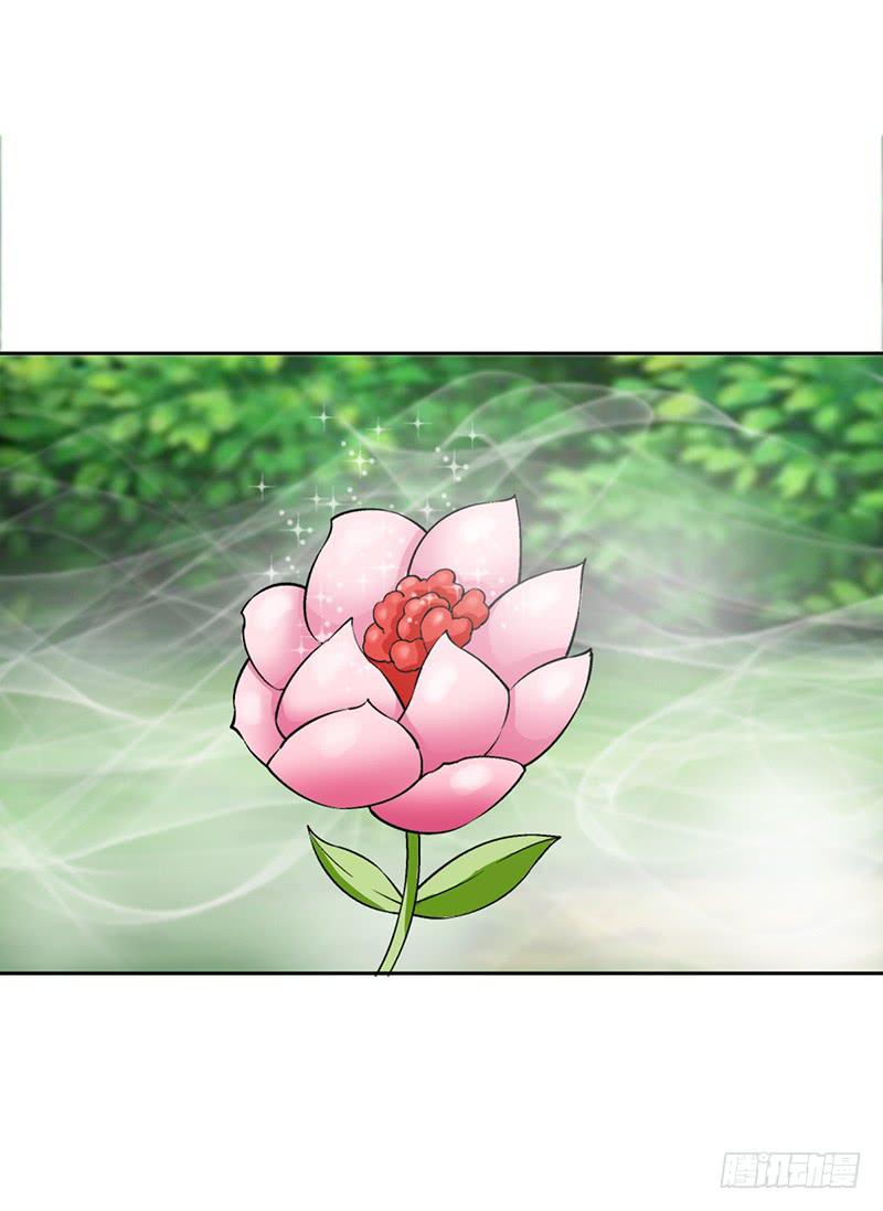 传说中的白岩草出现啦！-第57话