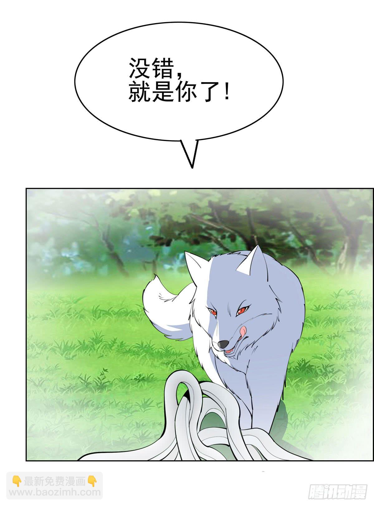 这只臭狐狸迟早会造报应！-第91话
