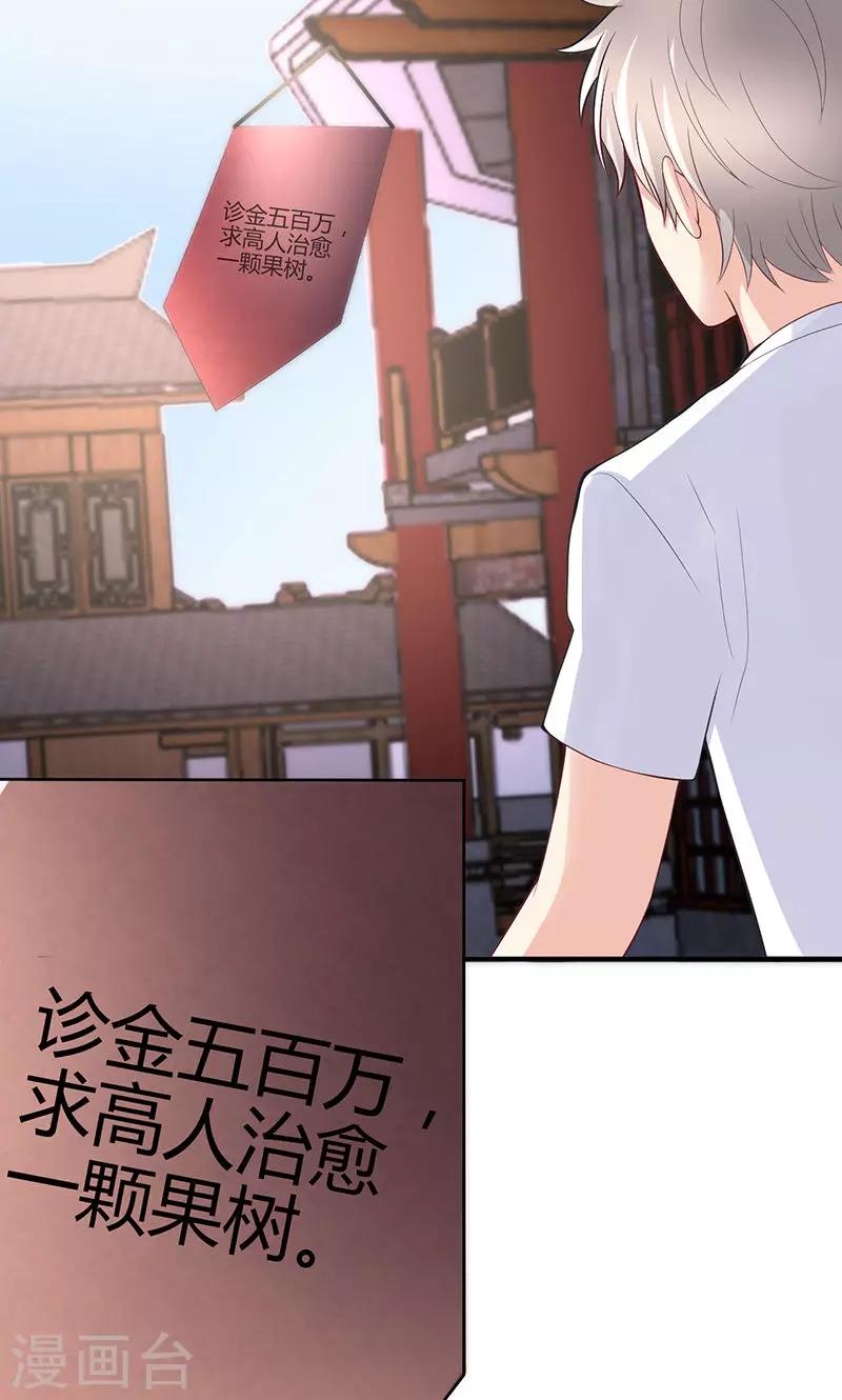 🍱圣医重生计划 第74话 第19页