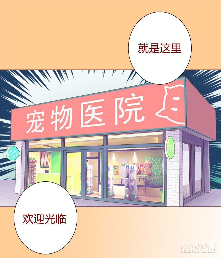 017灵宠（下）-第29话