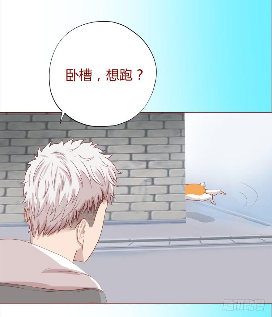 017灵宠（下）-第29话