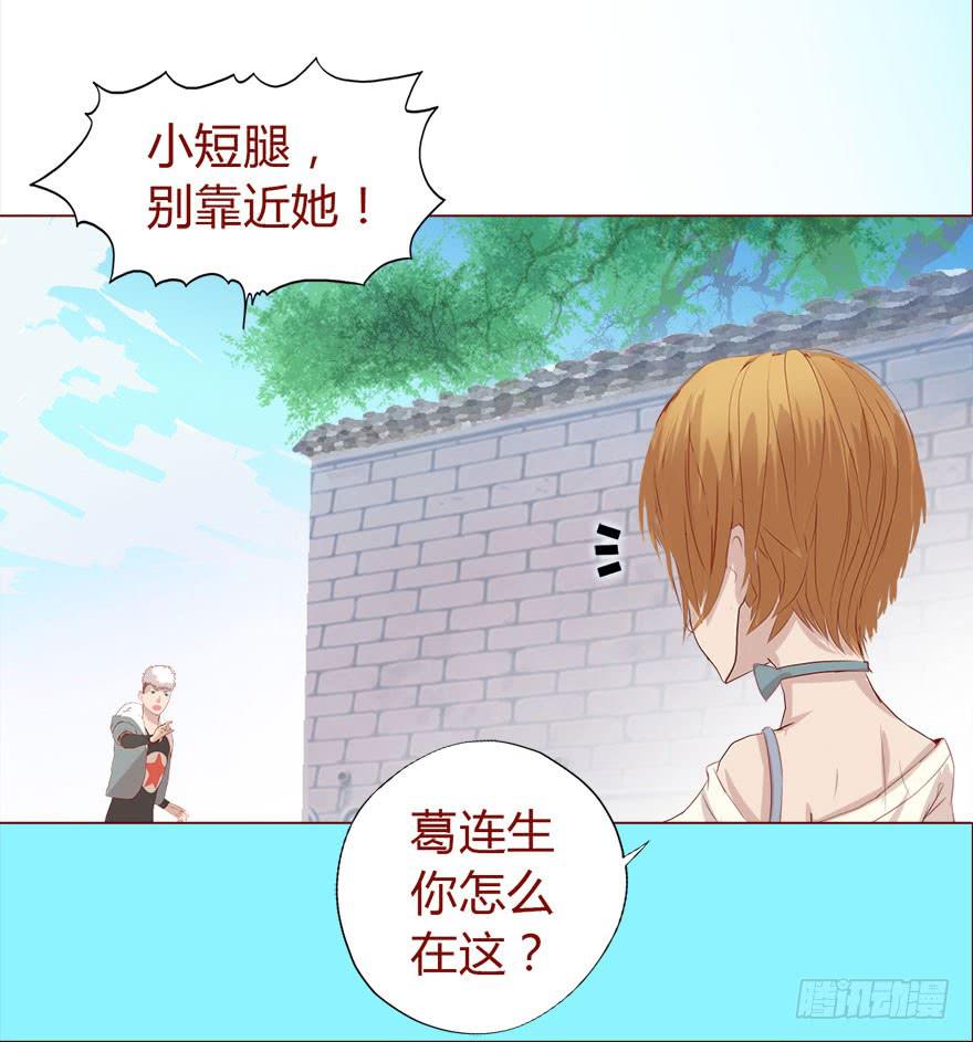 017灵宠（下）-第29话
