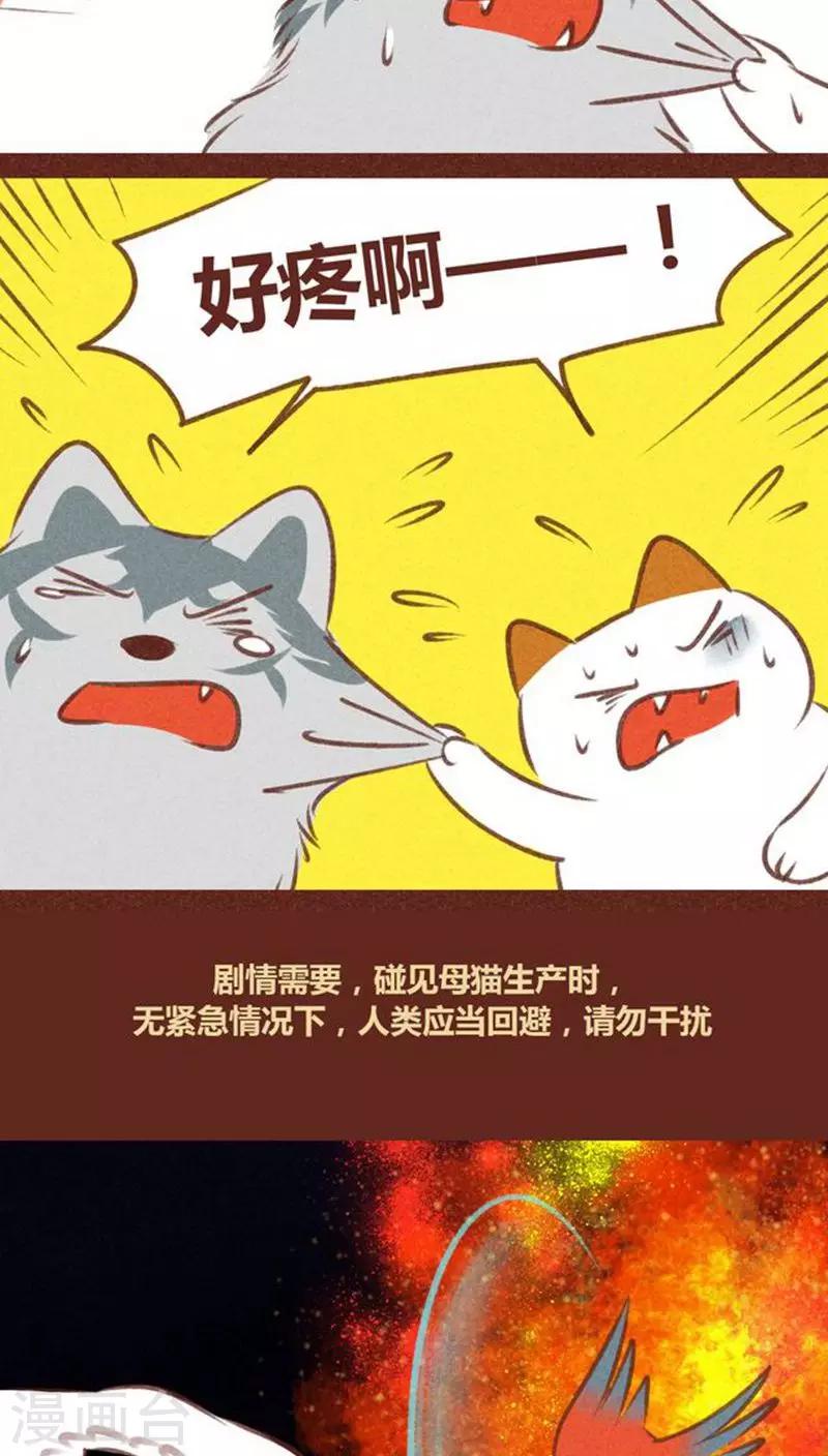 第60话 接生-第61话