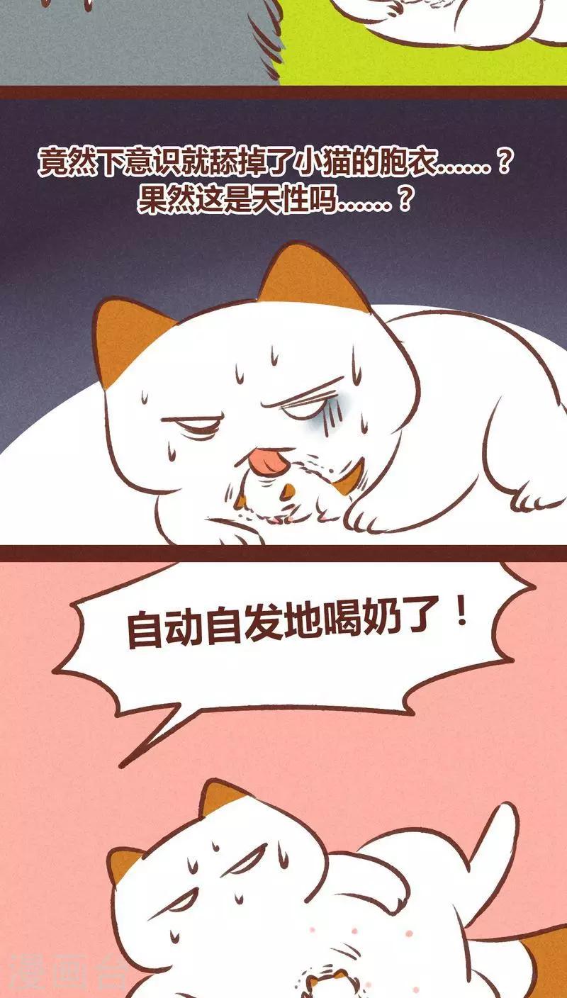 第62话 神雀凤凰-第63话