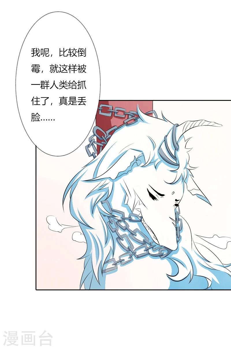 第33话 前世今生-第37话