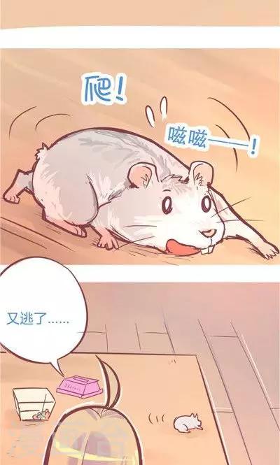第8话2 仓鼠篇-第31话