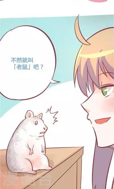 第8话2 仓鼠篇-第31话