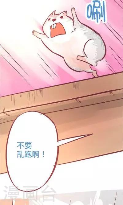 第8话2 仓鼠篇-第31话