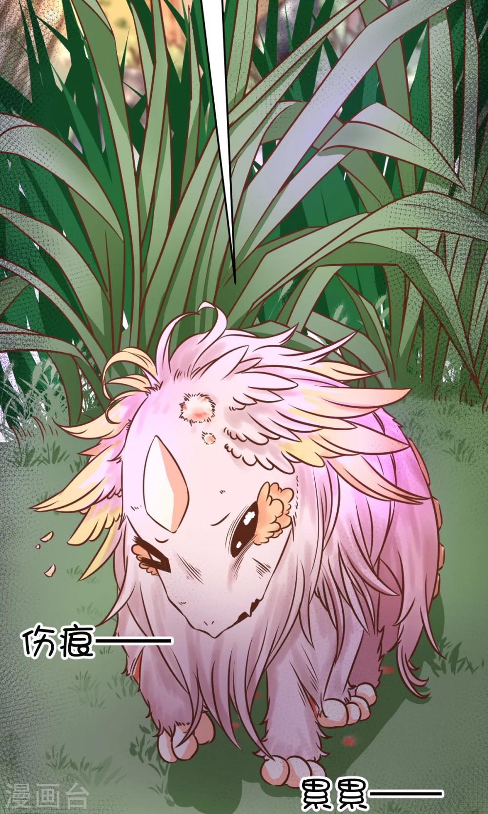 第23话-第31话