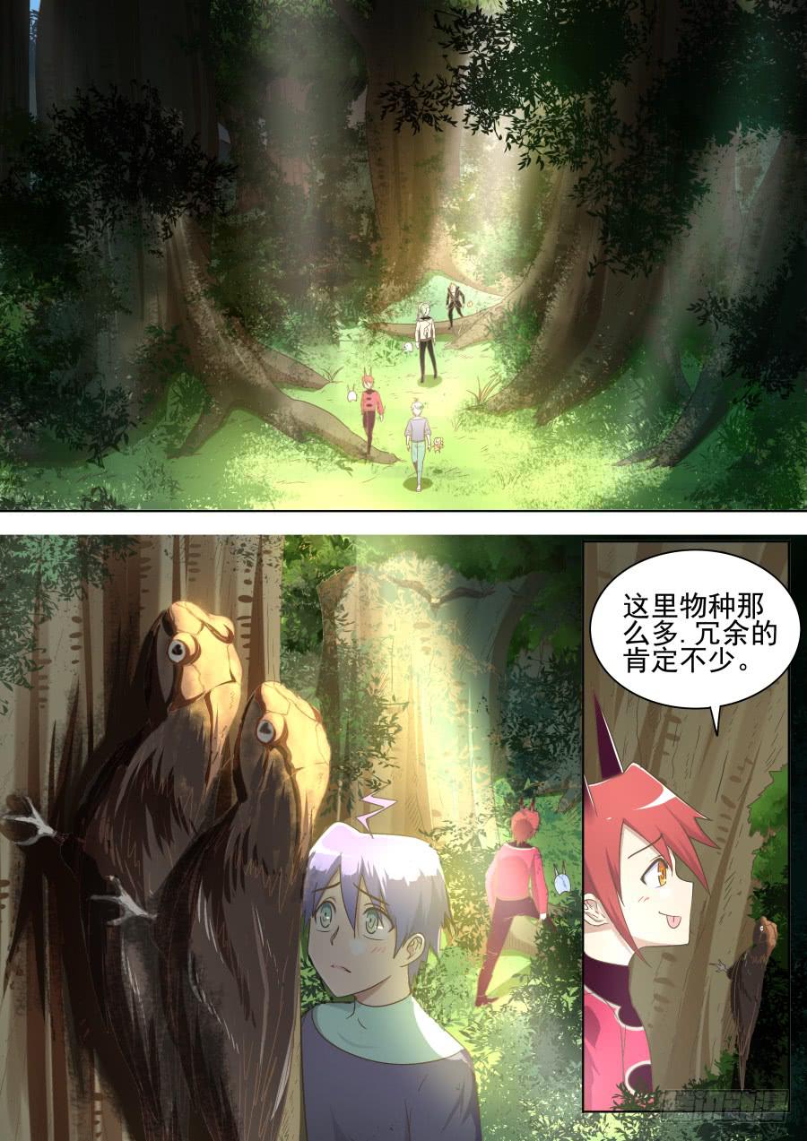 第四十一话：森林中！-第41话